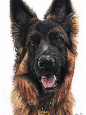 Kolorowy portret zwierzaka ze zdjęcia kredkami