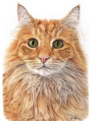 Kolorowy portret zwierzaka ze zdjęcia kredkami