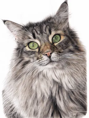 Kolorowy portret zwierzaka ze zdjęcia kredkami